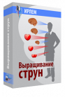 Выращивание струн сердца и мозга